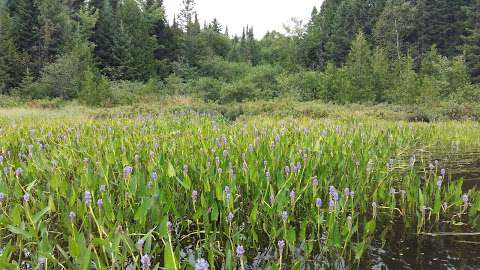 Réserve Faunique Mastigouche Réserve Faunique Mastigouche